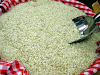 Venta De Arroz Pilado