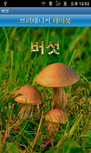 브리태니커 테마북-버섯