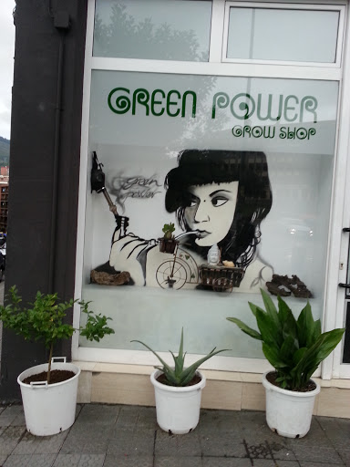 Green Power Girl