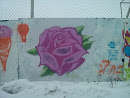 Rose on the Wall