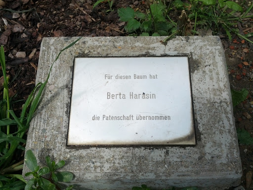 Berta Harasin Baum