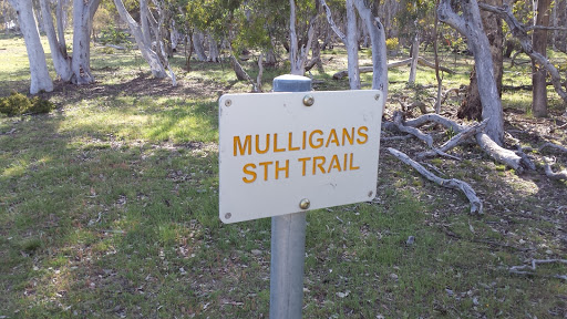 Mulligans South Trail Marker