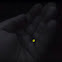 Firefly
