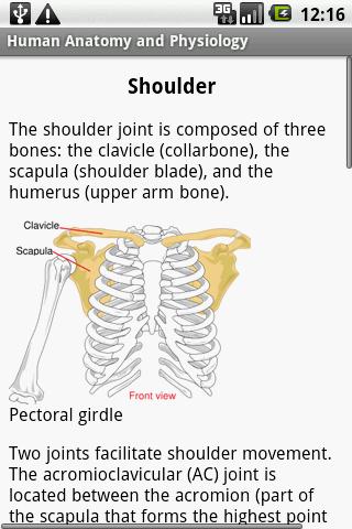 Human Anatomy Physiology Guide