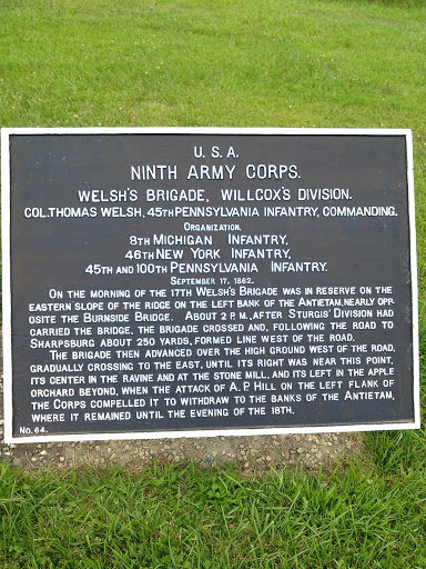 Willcox's Division, Ninth Army