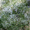 Tinsel flowers