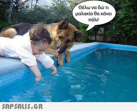 Θέλω να δώ τι μαλακία θα κάνει πάλι! 