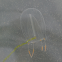 Unknown spotting