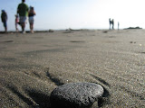 IMG_2315.JPG