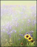Photoshop_Tips_Fog.jpg