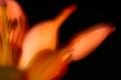 Create_Artistic_Eerie_Photos_with_Multiple_Exposures.jpg