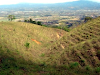 3 Hectares Plus 3360Mt2 In Santa Ana $500400