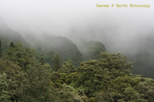 [Heaven & Earth copy[4].jpg]