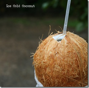 Coconut