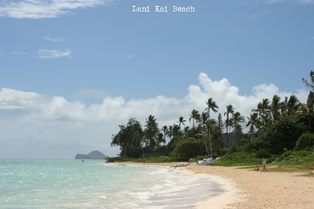[Lani Kai copy[4].jpg]