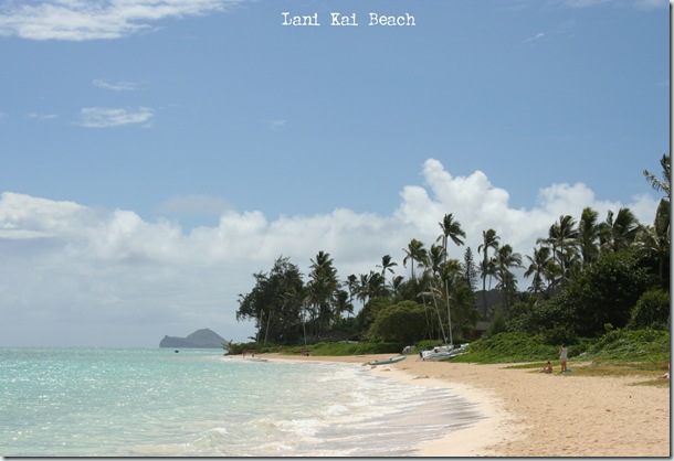 Lani Kai copy