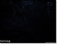 dark