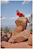Brian, just another rock on top of the pile.
