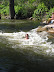 Ride the Rapids