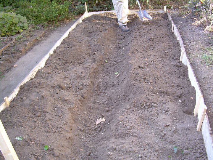 What we had after the first day (we added stones and bricks to the walk way).