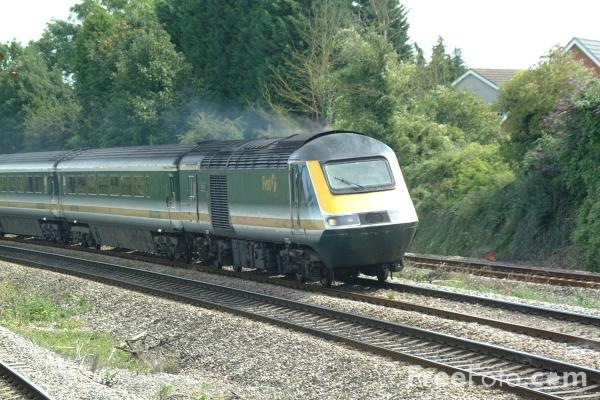[train[3].jpg]