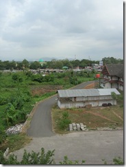 DSCN7733