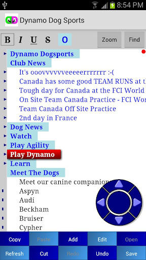 Dynamo Dog Sports