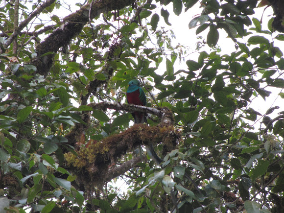 Spotting Image 1