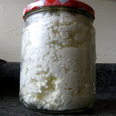 Homemade Ricotta