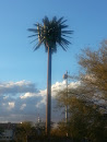 Metal Palm Tree
