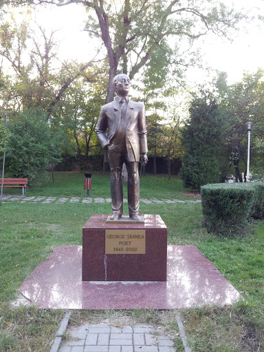 Statuie George Țărnea