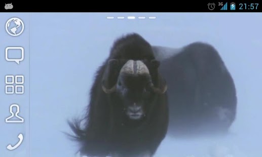 How to get Winter Bull Live Wallpaper build-0110 mod apk for laptop