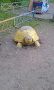 Черепаха Желтая