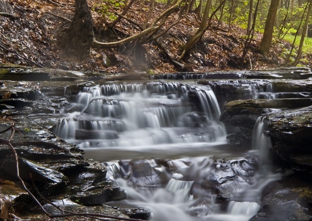 [Chestnut ridge 014[3].jpg]