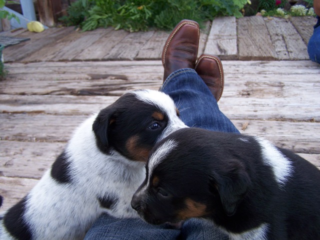 [08 06 08_1982[2].jpg]