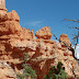 P7220574.JPG