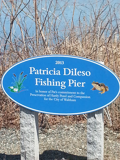 Patricia DiIeso Fishing Pier