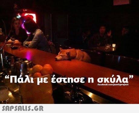 Πάλι με έστησε η σκύλα   09 faceboak com/panicproject 