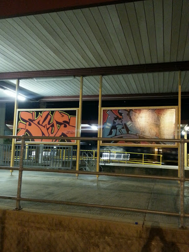 Platform Murals