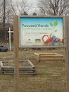 Focused Hands Community Garden