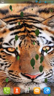 How to install Gracious Tigers Live Wallpaper 1.7.2 mod apk for bluestacks