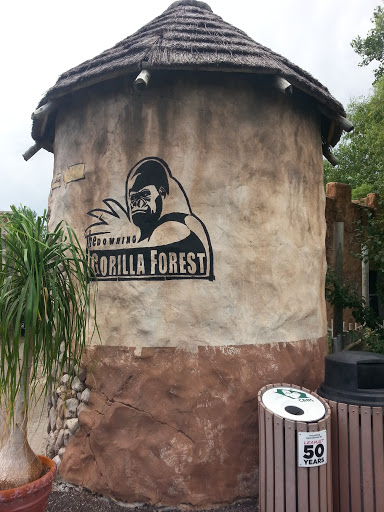 The Downing Gorilla Forest