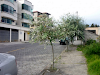 Vendo Terreno De 200 M2 En El Norte De Quito
