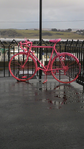 Pink Bicycle For The Giro D'Italia
