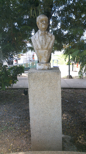 Busto Castor Vazquez