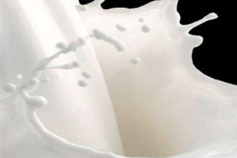Lactose in Food
