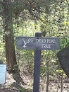 Dead Pond Trail - Presque Isle State Park