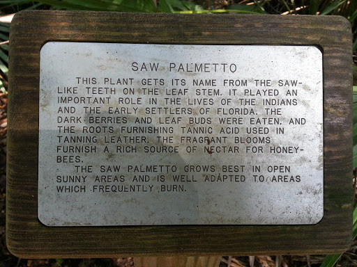 Saw Palmetto Educational Marker