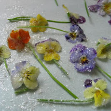 Candied Violets