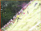 cheeserolling.jpg